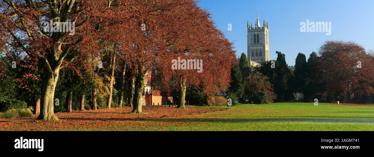 Herbst Blick über New Park, Melton Mowbray, Leicestershire, England; Großbritannien; UK Stockfoto