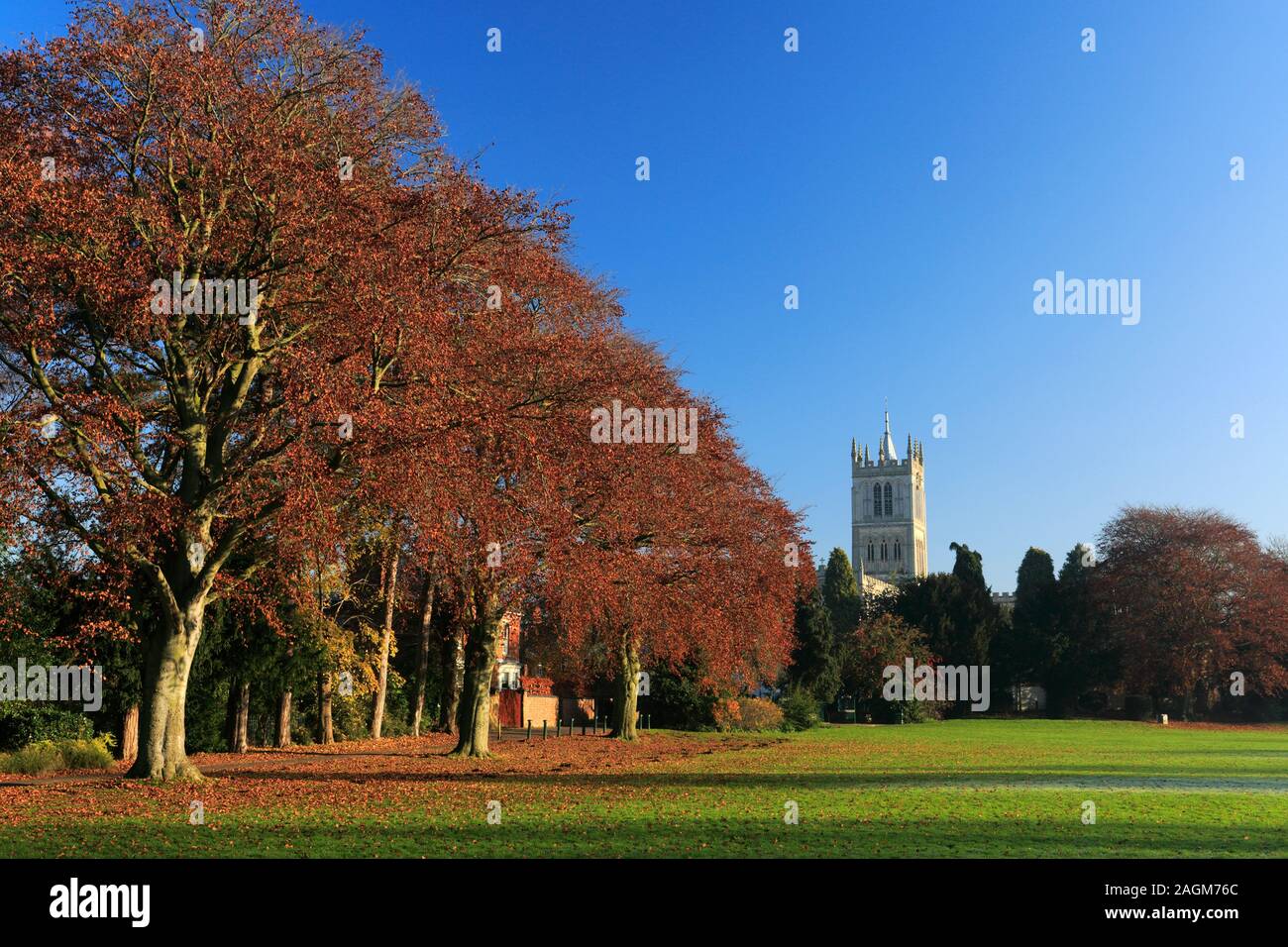 Herbst Blick über New Park, Melton Mowbray, Leicestershire, England; Großbritannien; UK Stockfoto