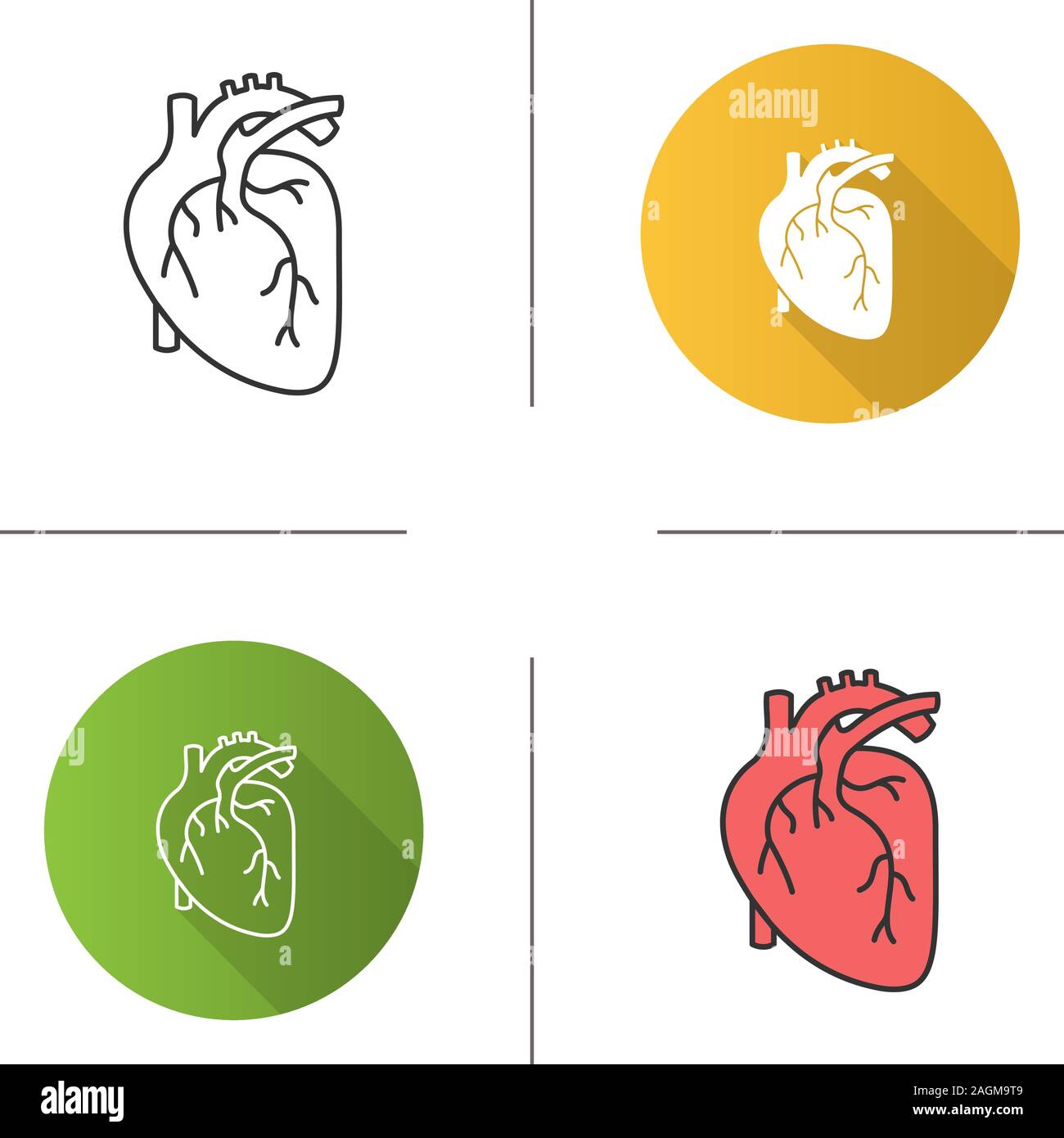 Menschliche Herz Anatomie Symbol Flache Bauweise Lineare Und Farbe 