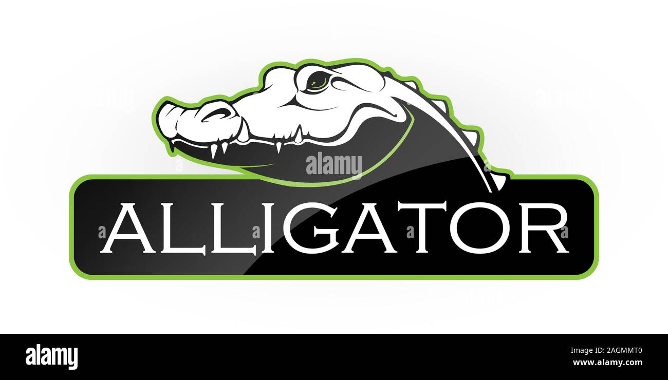Alligator auf einem weißen Hintergrund. Vector Illustration Stock Vektor