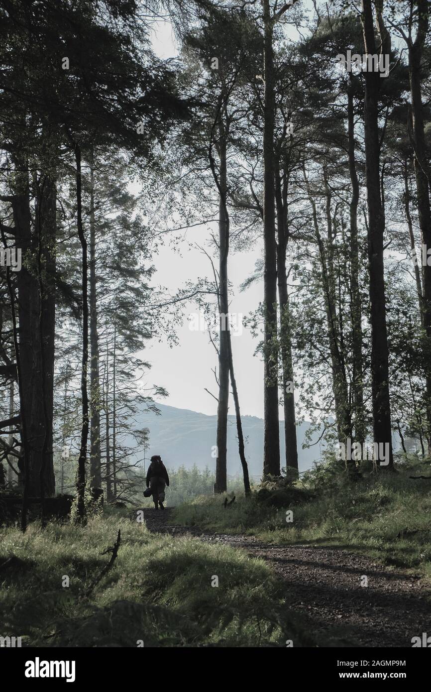 Ein einsamer Wanderer zu Fuß eine Strecke von der südlichen Hochland, in der Nähe von Glen Trool. Stockfoto