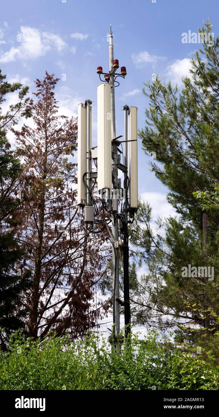 Ein Fernmeldeturm drahtlose Handy-Antennen und Bäume. Stockfoto