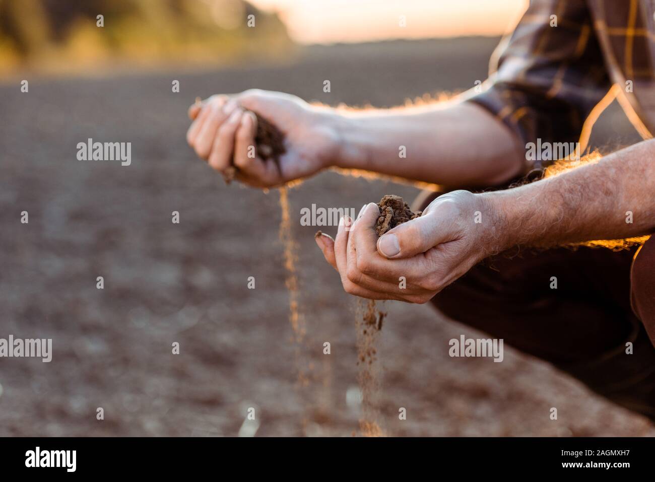 Selektiver Fokus der Selbständigen Bauern säen in Abend Stockfoto