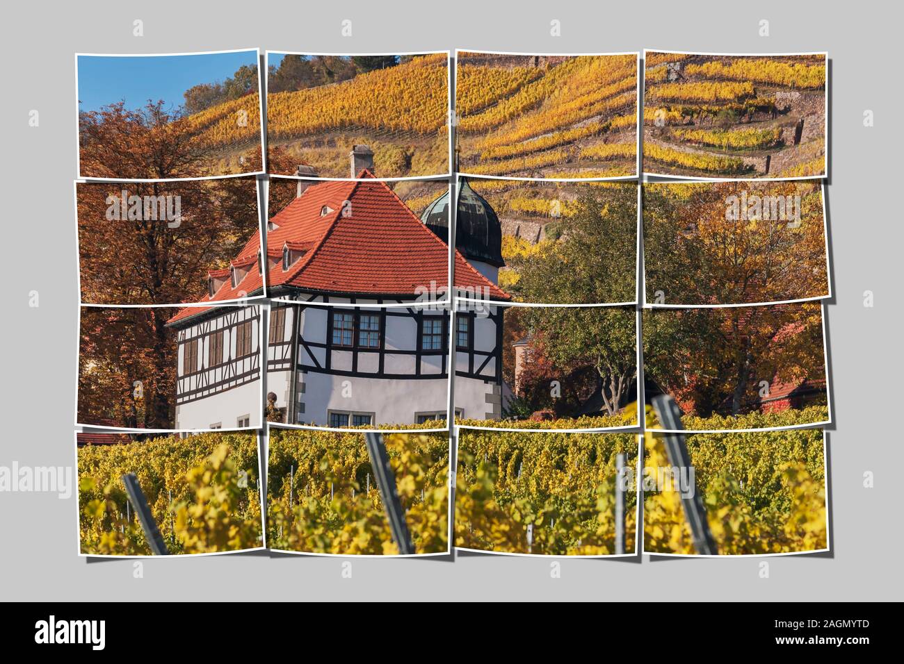Sommerresidenz Schloss Hofloessnitz ist ein Gebäude im Bereich Weinbau in Radebeul bei Dresden, Sachsen, Deutschland, Europa Stockfoto