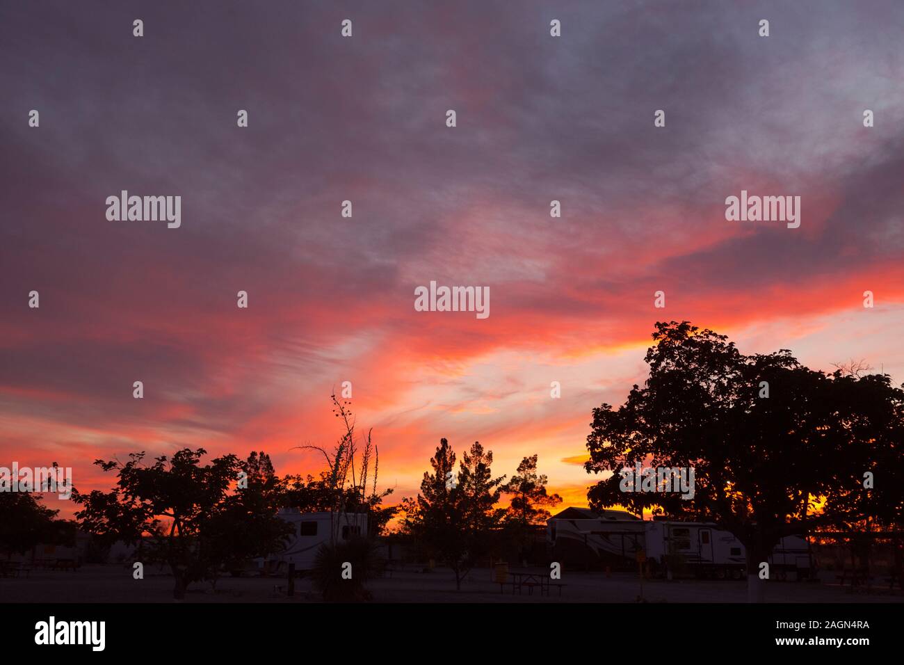 NM 00160-00 ... NEW MEXICO - Sonnenuntergang auf Lordsburg KOA-Campground. Stockfoto