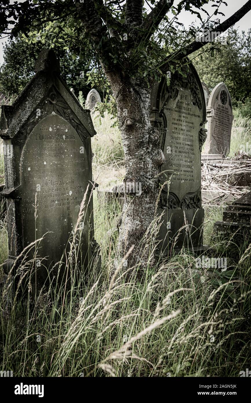 Vergessene Gräber in einem Waliser Friedhof, Juli 2019. Bitte Quelle: Phillip Roberts Stockfoto