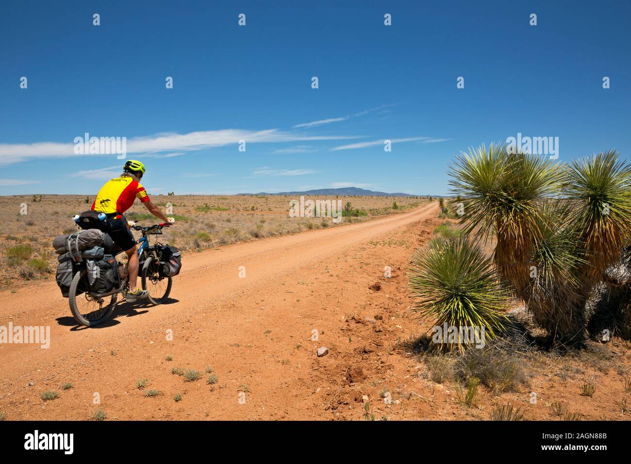 NM 00182-00... NEW YORK - Nach dem Großen Mountainbike Route nach Norden durch das trockene und heiße Chiricahua Wüste unterteilen. Stockfoto