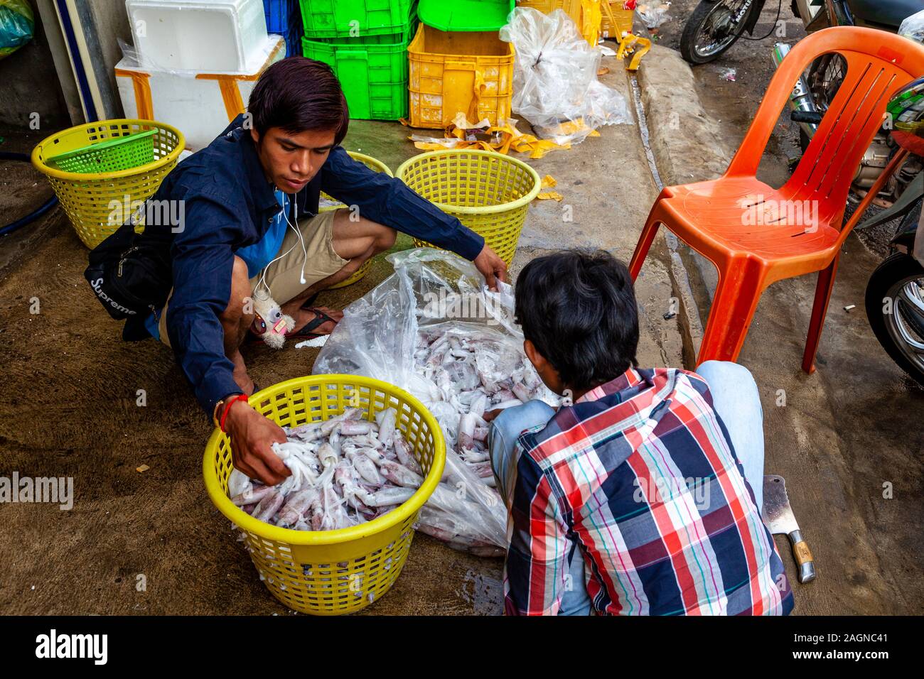 Junge Männer Handhabung/Sortierung Squid, Phnom Penh, Kambodscha. Stockfoto