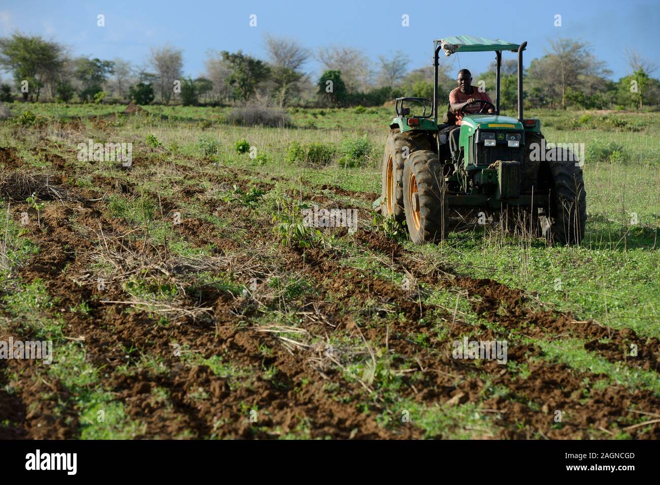 Sambia, Mazabuka, mittlerer Bauer Praxis Erhaltung der Landwirtschaft, Ripping Furchen mit John Deere Traktor Baumwolle Samen zu säen, Ripping schützt die Erde statt des Pflügens Stockfoto