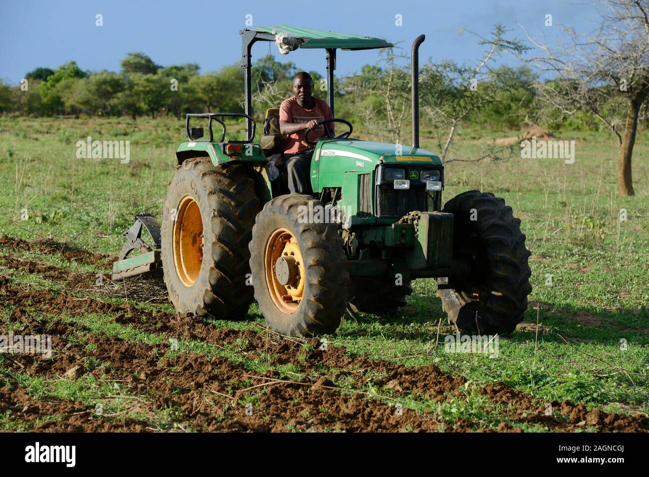 Sambia, Mazabuka, mittlerer Bauer Praxis Erhaltung der Landwirtschaft, Ripping Furchen mit John Deere Traktor Baumwolle Samen zu säen, Ripping schützt die Erde statt des Pflügens Stockfoto
