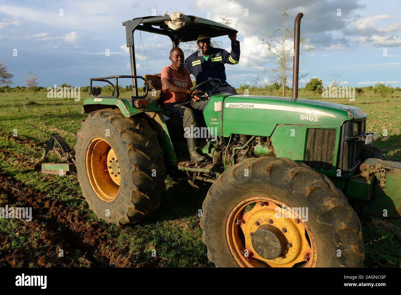 Sambia, Mazabuka, mittlerer Bauer Praxis Erhaltung der Landwirtschaft, Ripping Furchen mit John Deere Traktor Baumwolle Samen zu säen, Ripping schützt die Erde statt des Pflügens Stockfoto