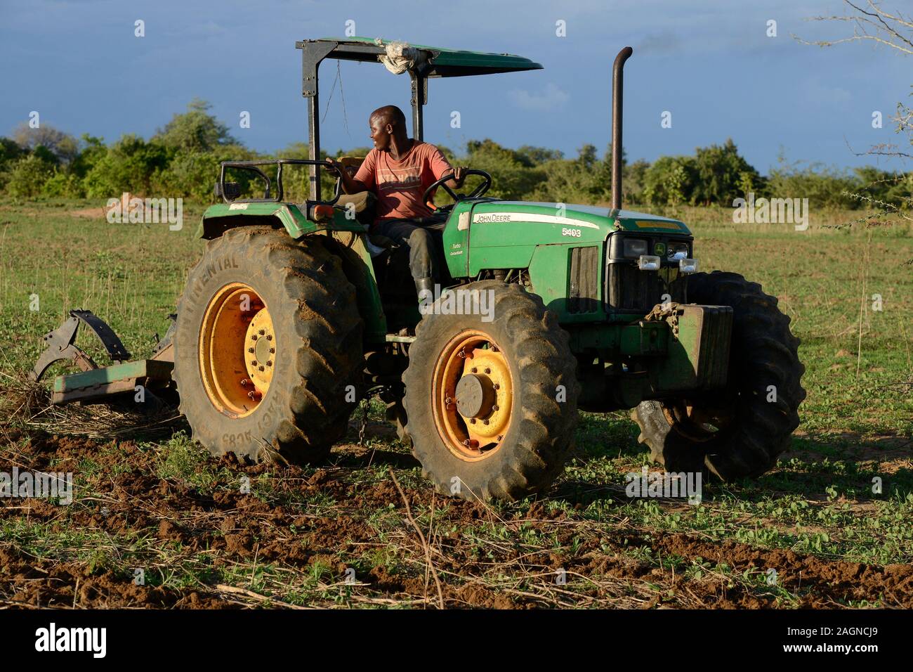 Sambia, Mazabuka, mittlerer Bauer Praxis Erhaltung der Landwirtschaft ...