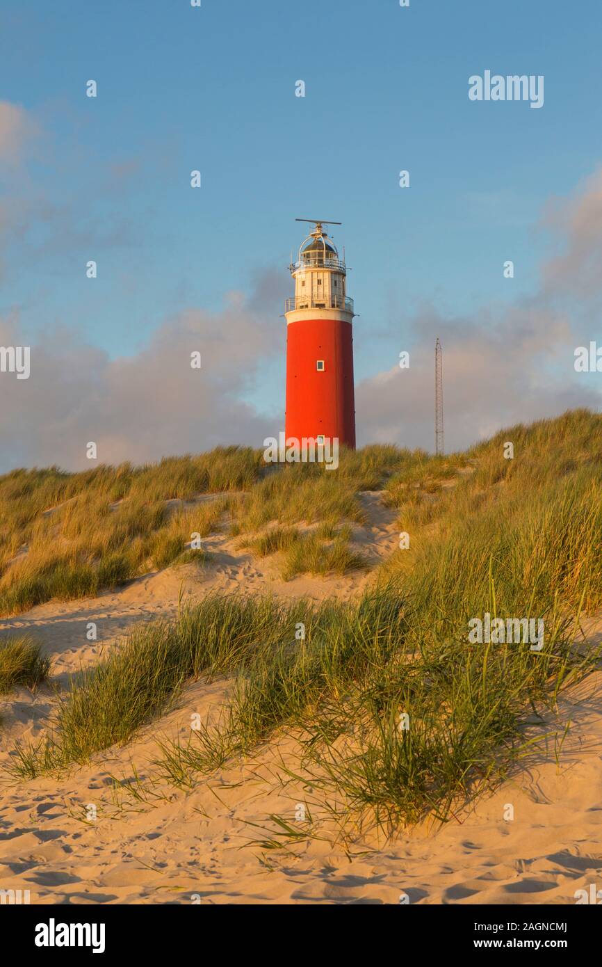 Eierland Leuchtturm in den Dünen am nördlichsten Punkt der niederländischen Insel Texel, Zeeland, Niederlande Stockfoto