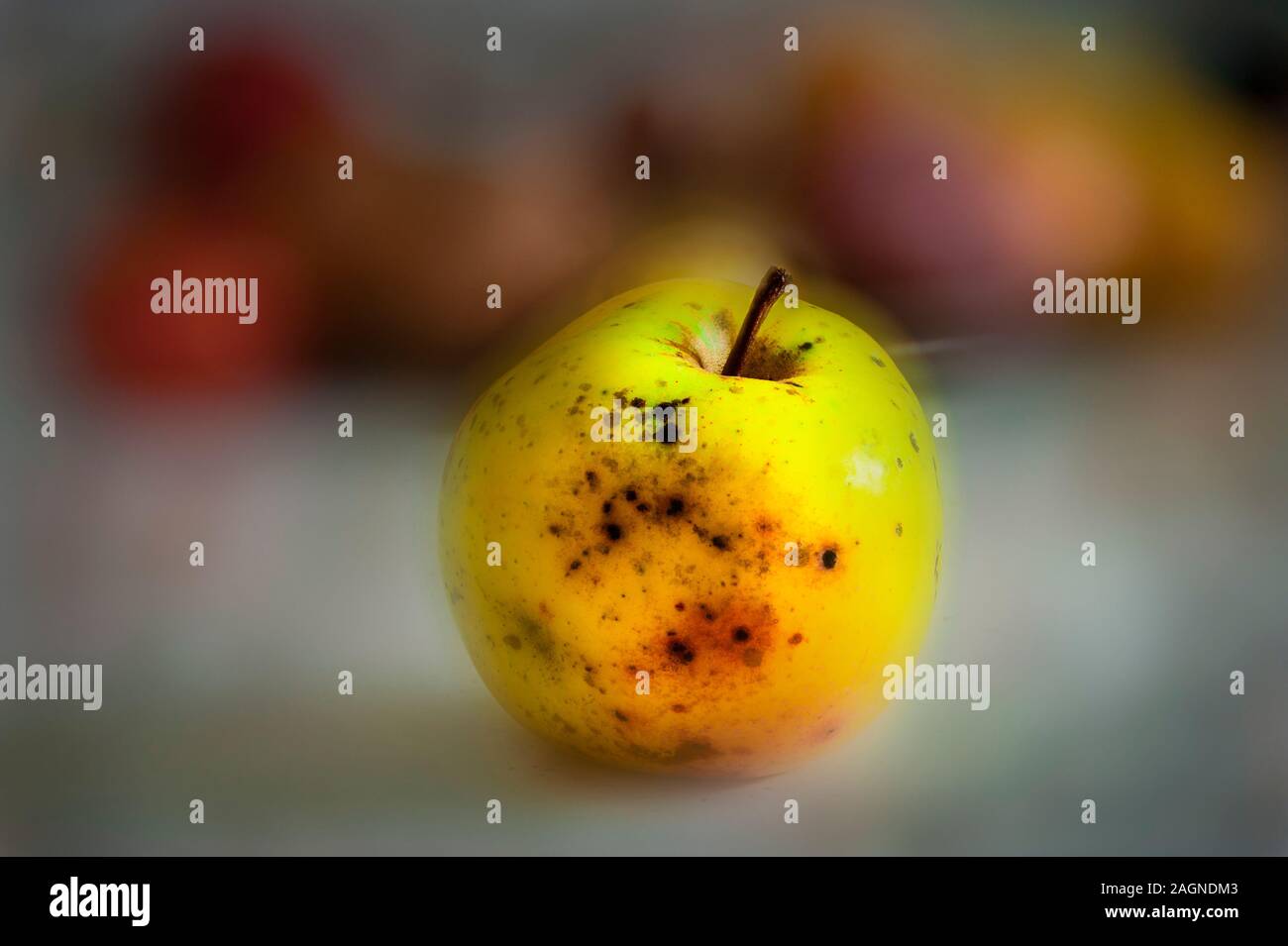 Künstlerische Darbietung von frisch geernteten Apple im Mason County, Michigan, USA Stockfoto