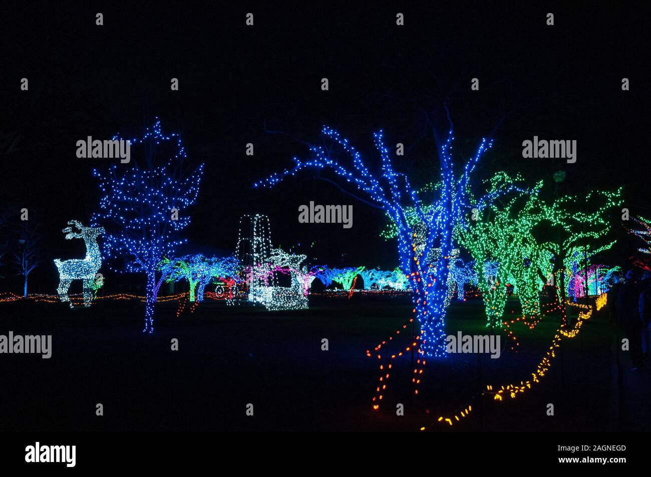 Weihnachtsbeleuchtung im Detroit Zoo 11/24/2017 Stockfoto