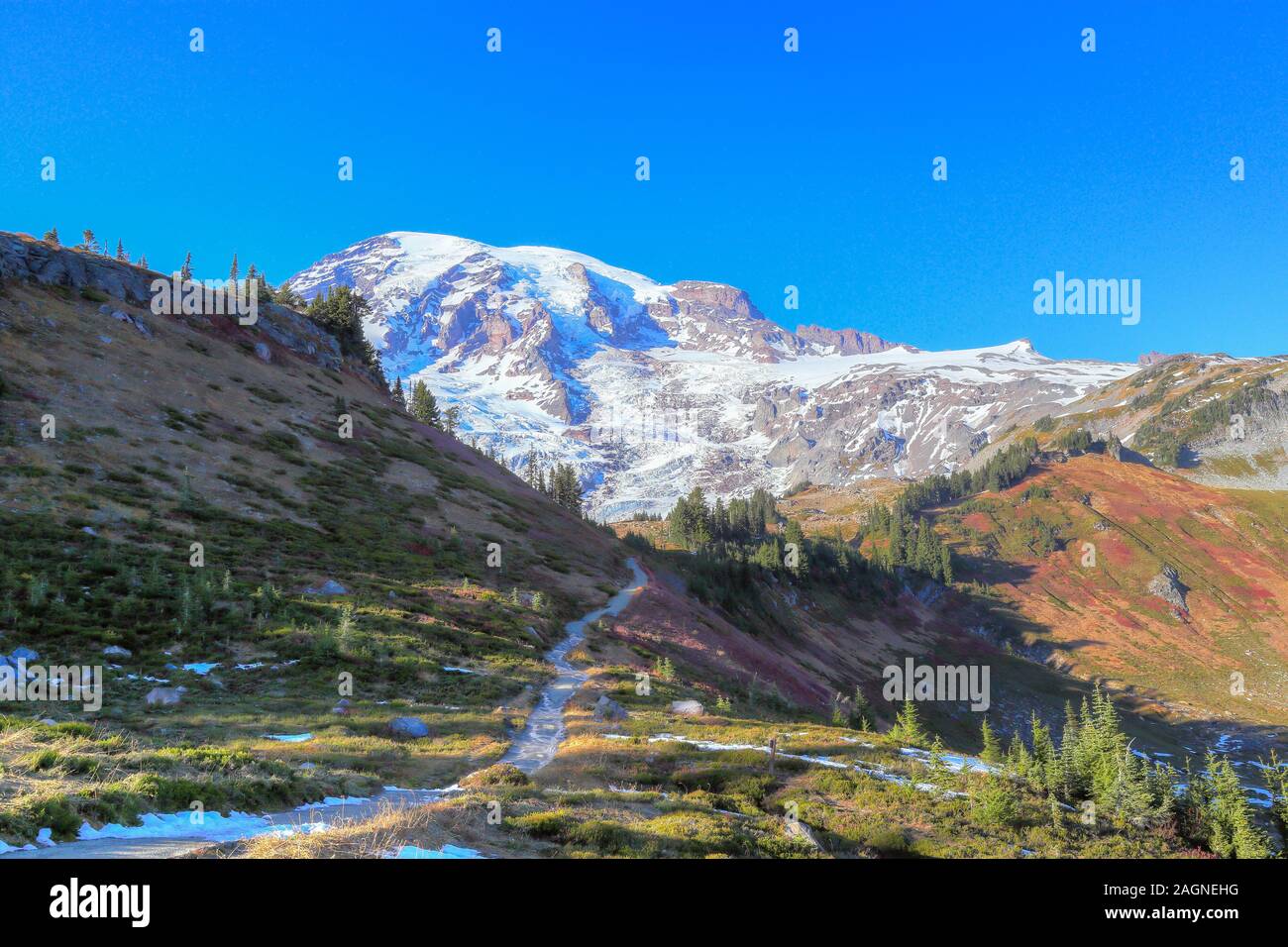 Voller Farben des Herbstes zu Winter Übergang am Mount Rainier National Park angezeigt, Seattle, Washington Stockfoto