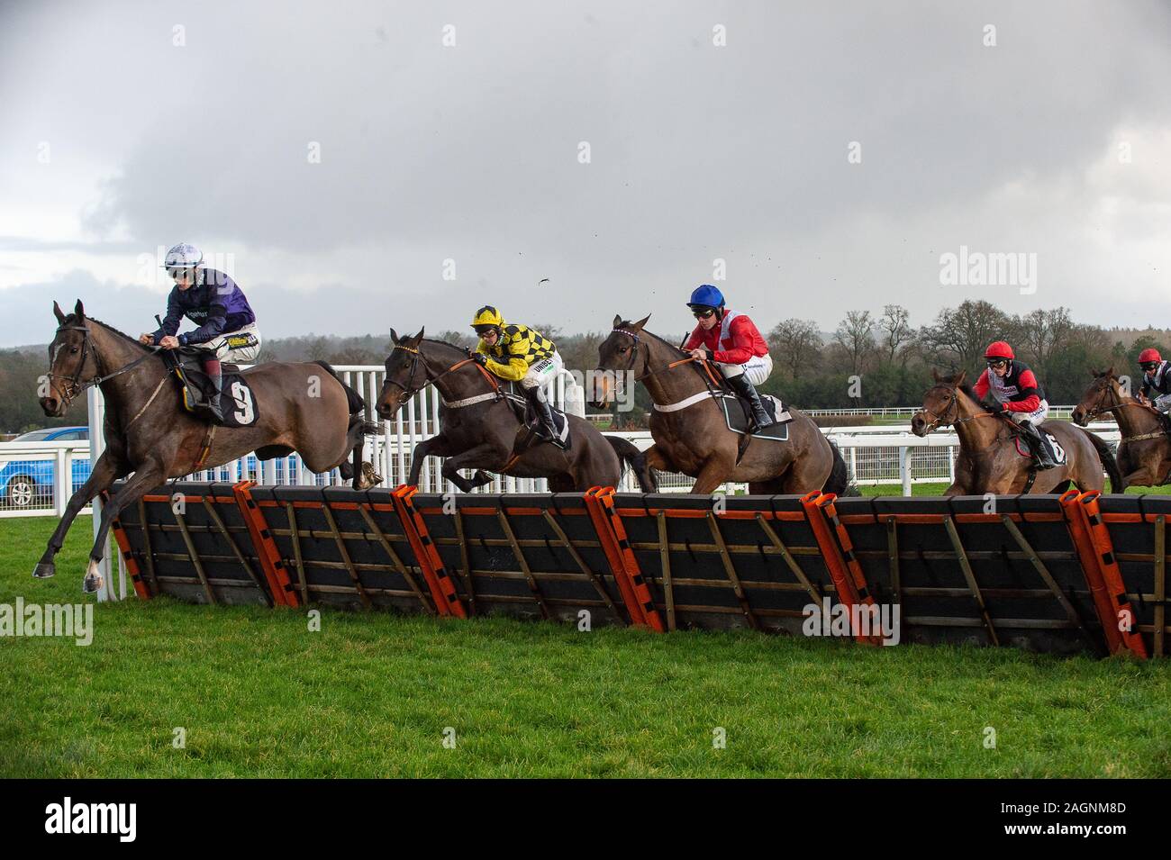 Ascot Weihnachten Familie Racing Wochenende, Ascot, Berkshire, Großbritannien. Dezember, 2019 20. Die Eventmasters Maiden Hurdle Race. Credit: Alamy/Maureen McLean Stockfoto