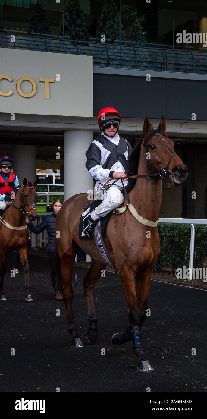 Ascot Weihnachten Familie Racing Wochenende, Ascot, Berkshire, Großbritannien. Dezember, 2019 20. Jockey Jamie Moore auf Pferd Zhiguli des Eventmasters Maiden Hurdle Race. Credit: Alamy/Maureen McLean Stockfoto