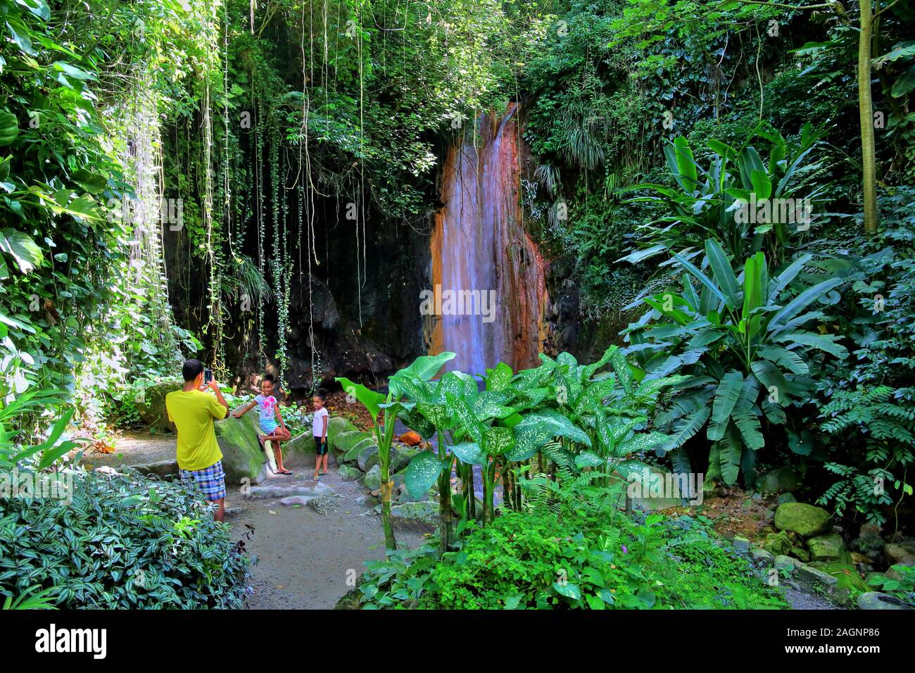 Diamond Wasserfall im Botanischen Garten mit tropischer Vegetation, Soufriere, St. Lucia, Kleine Antillen, Karibik, Karibische Inseln Stockfoto