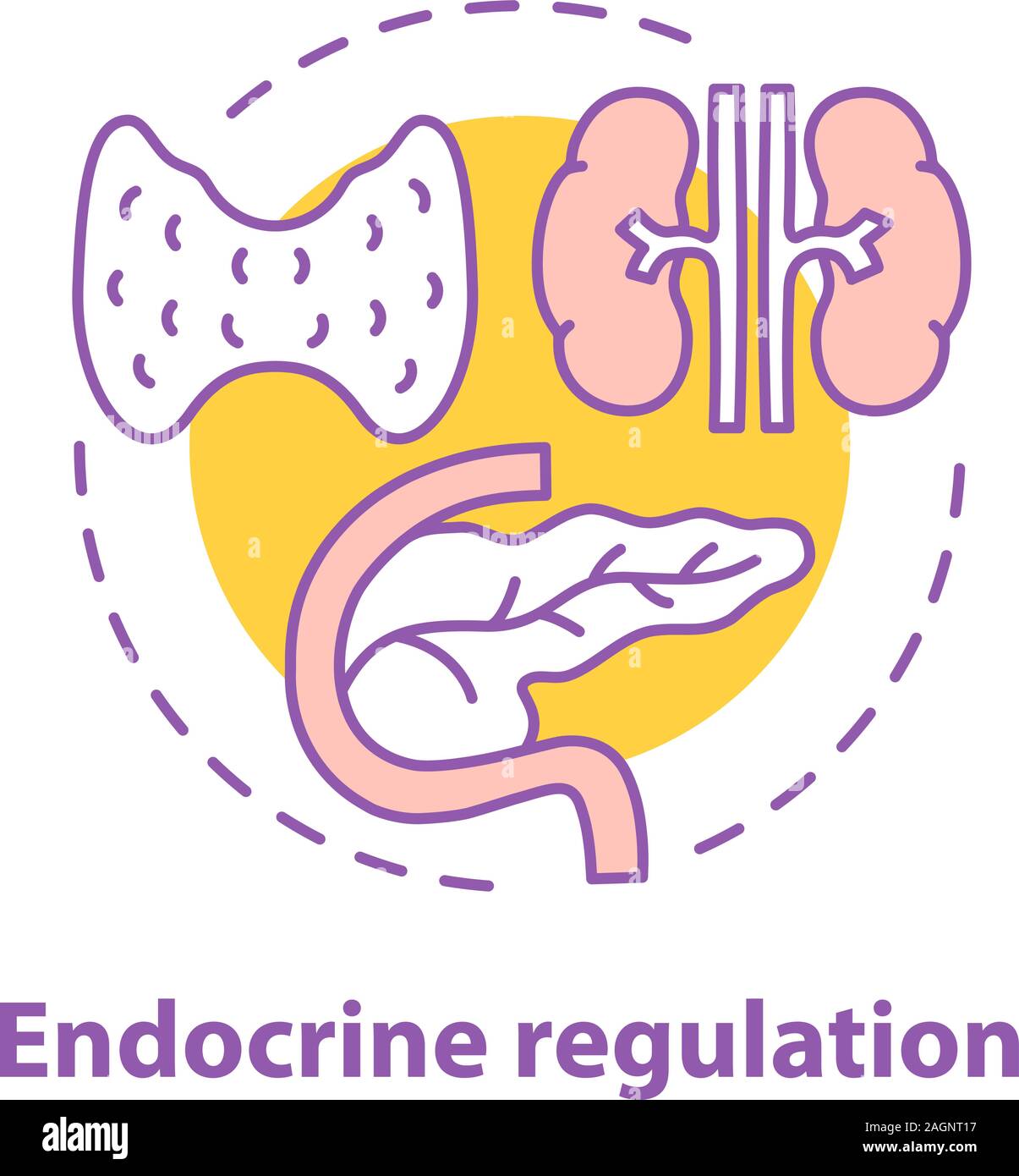 Endokrine Verordnung Konzept Symbol. Endokrinologie Idee dünne Linie Abbildung. Healthcare. Schilddrüse, Bauchspeicheldrüse. Vektor isoliert Maßbild Stock Vektor