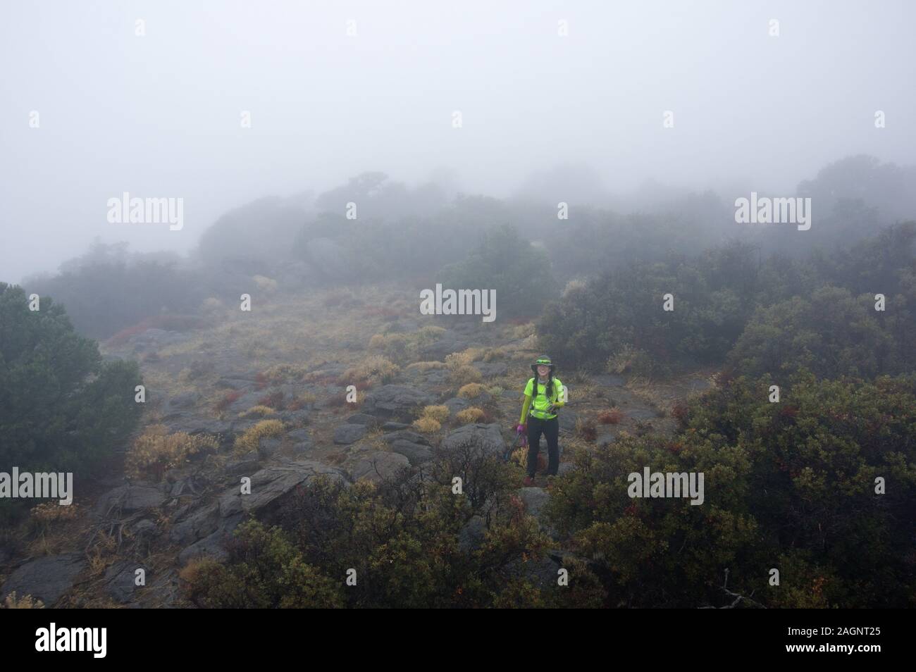 Frau in Gelb auf der Oberseite des nebligen Kaninchen Peak Mountain Stockfoto
