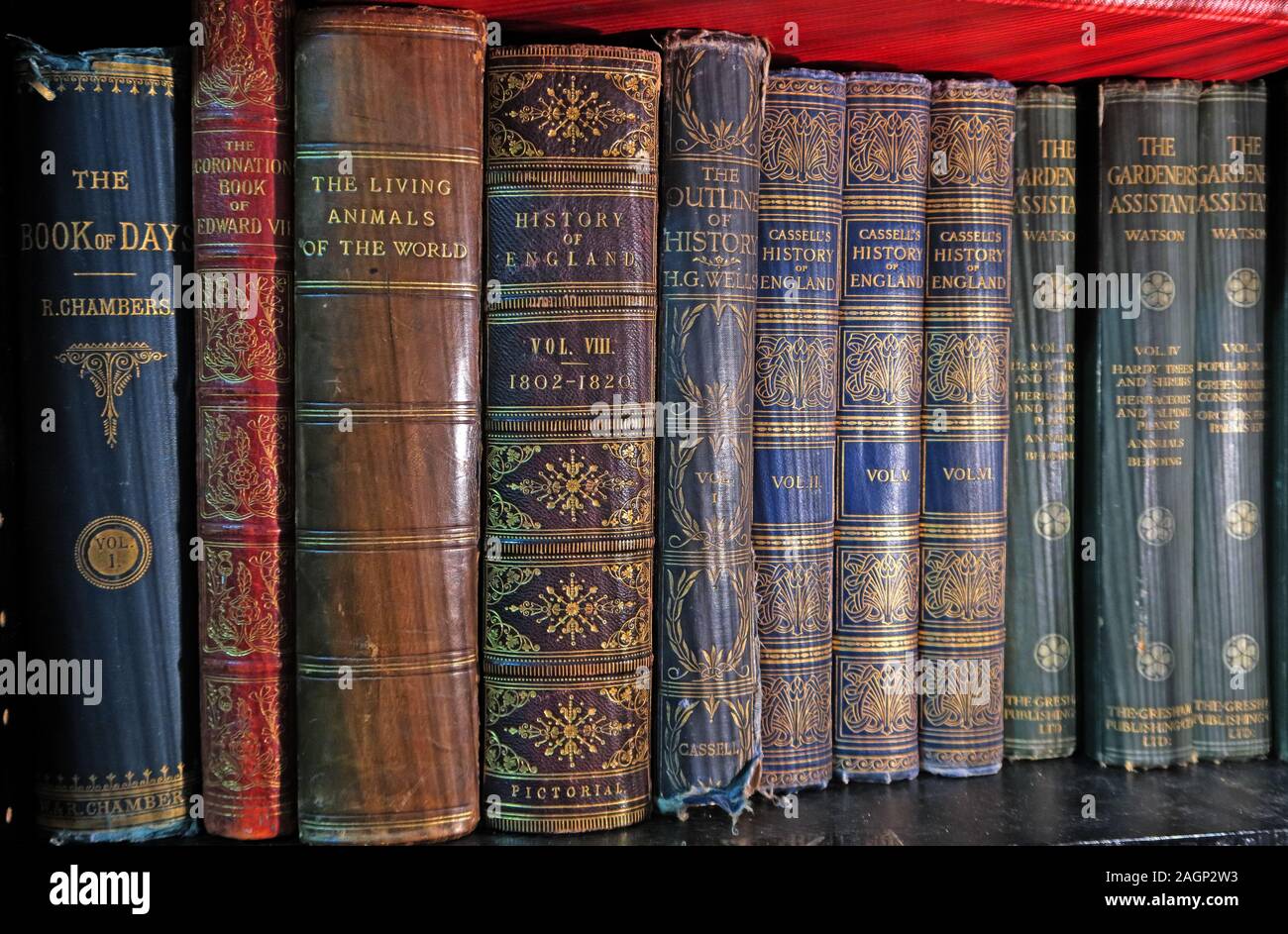 Bücherregal der 1920er Jahre Bücher: Buch der Tage, Chambers, Geschichte von England, der Gärtner Assistent, die Outline der Geschichte, HG Wells Stockfoto