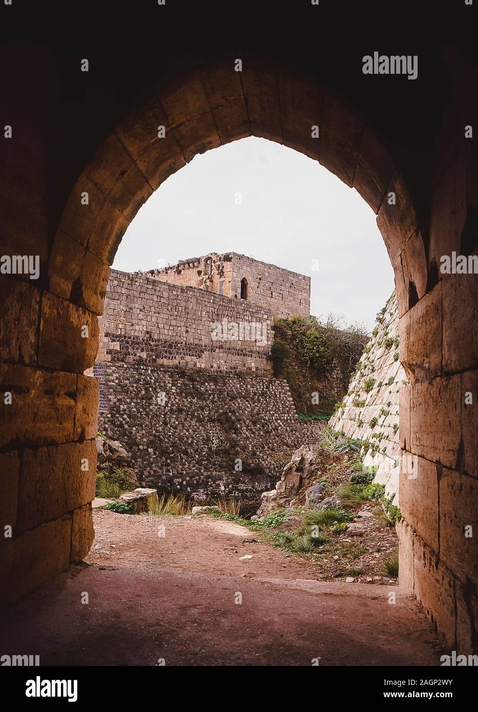 Syrien. Die Ruinen der riesigen Kreuzfahrerfestung Krak des Chevaliers Qa'lat al Hosn zwischen Syrien und dem Mittelmeer. Die Festung wurde im 12. Jahrhundert erbaut und war während der Heiligen Kriege die Bastion der Tempelritter Europas Stockfoto
