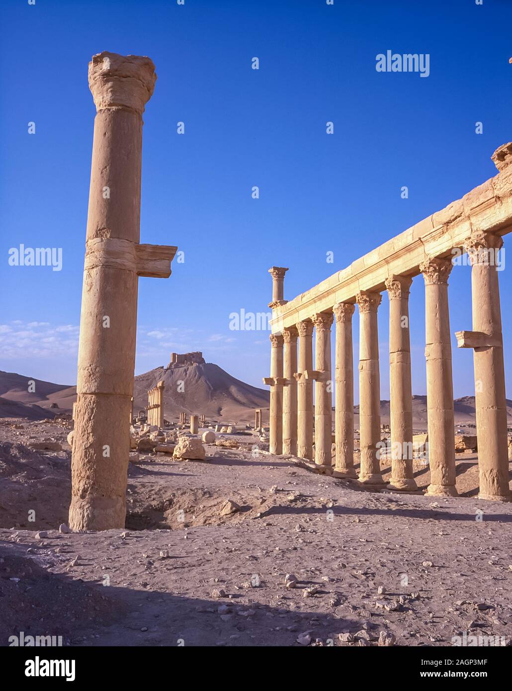 Die Ruinen der römischen Stadt Palmyra gebaut um 200-250 AD großer Größe und Wohlstand der alten Welt unter römischer Herrschaft projiziert. Die Stadt wurde übersehen, die von der großen Festung von Königin Zenobia, der mentale Zustand war ständig von der Behörde der Allmächtige Rom herausgefordert, die zur Schaffung des Wortes Zenophobic und Zenophobia Stockfoto