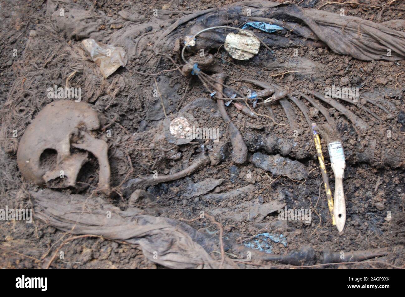 Menschliche Überreste sind durch FBI Personal im "Body Farm" ausgegraben. Ein Body Farm ist eine Forschungseinrichtung, wo Zersetzung in einer Vielzahl von Einstellungen untersucht werden können. Sie durch die anthropologin Dr. William Bass 1971 erfunden wurden an der Universität von Tennessee in Knoxville, Tennessee, wo Dr. Bass in der Untersuchung der Zersetzung einer menschlichen Leiche aus der Zeit des Todes zu der Zeit Decay interessiert war. Stockfoto