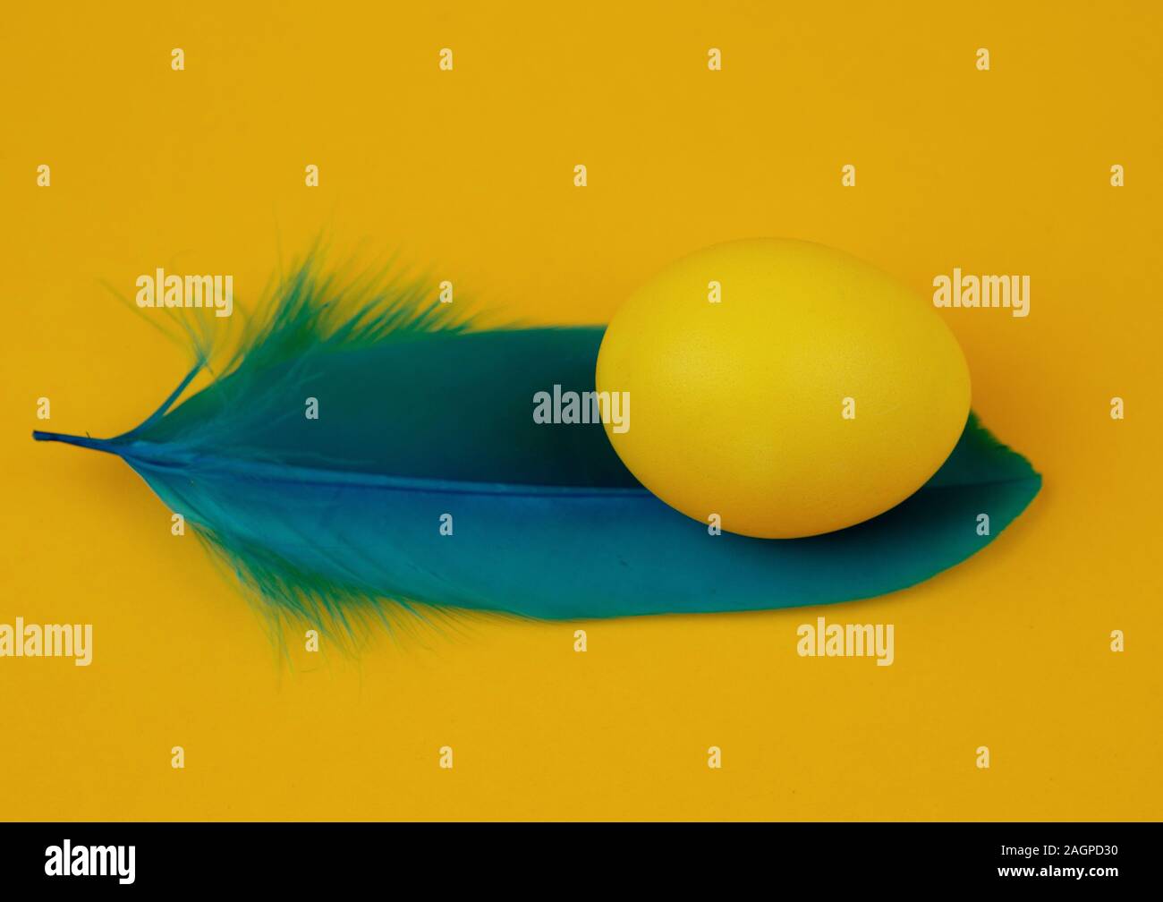 Ostern einfarbige Eier und Federn auf gelben Hintergrund. Frohe Ostern Grußkarte. Minimale Ostern Konzept. Stockfoto