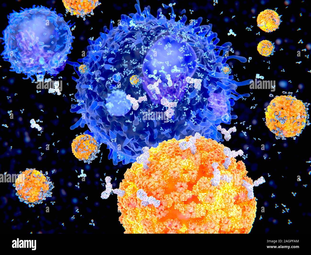 Computer Abbildung von Plasma Zellen (B-Zellen, Orange), die TNF-Antikörper (weiß) gegen Viren (blau). Antikörper binden an spezifische Antigene, zum Beispiel virale Proteine, Kennzeichnung, die Sie für die Zerstörung durch phagocyte Immunzellen. Stockfoto