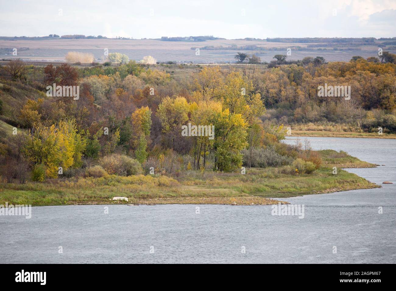 Uferwald im südlichen Saskatchewan Flusstal Stockfoto