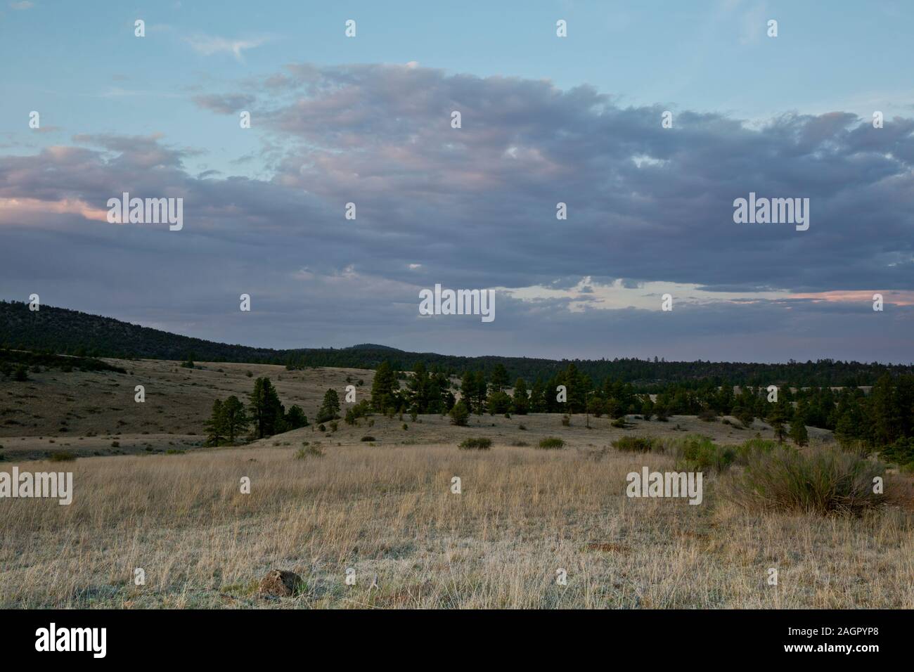 NM 00199-00 ... NEW MEXICO - Sonnenuntergang an einem verteilten Campingplatz nördlich von Collins Park, auf den Großen entfernt Mountainbike Route teilen. Stockfoto