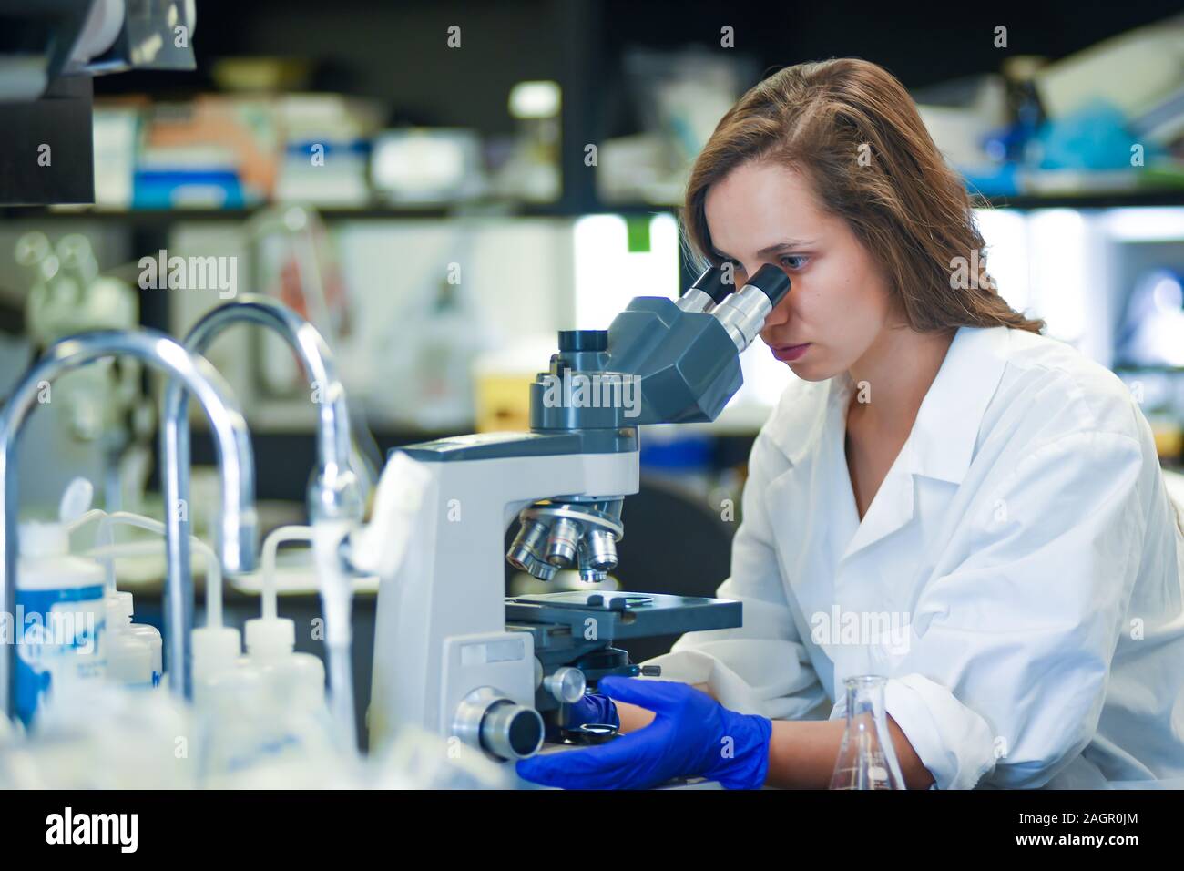 Frau Forschung Wissenschaftler im Labor arbeiten Stockfoto