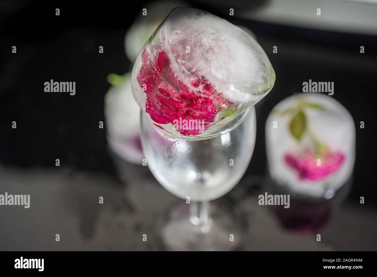 Rose Blume in Eis Stockfoto