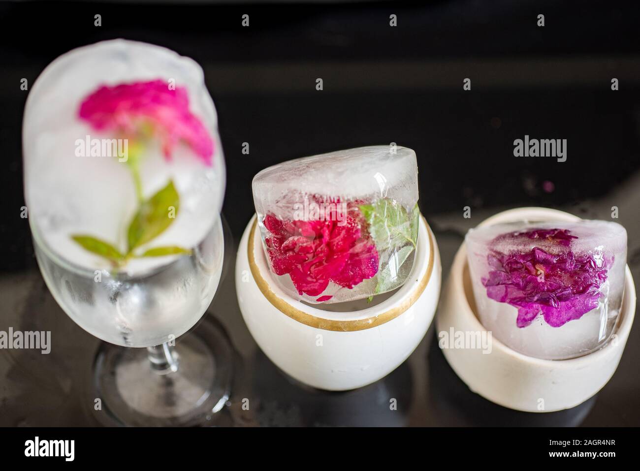 Rose Blume in Eis Stockfoto