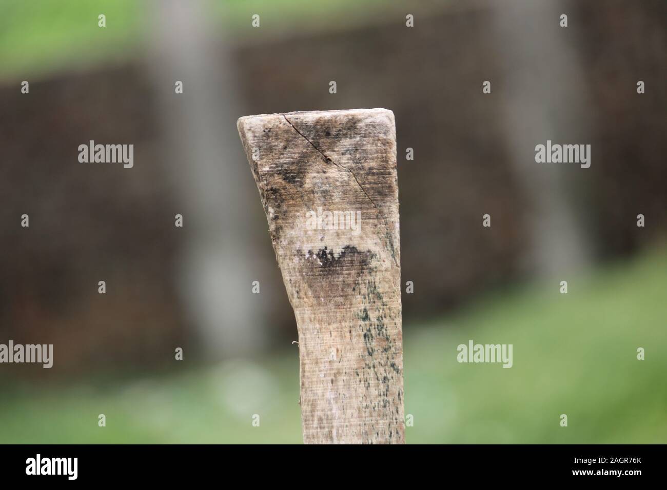 Dieses Foto zeigt die Natur, es ist ein Holzstab in es, auch das volle blure Stockfoto