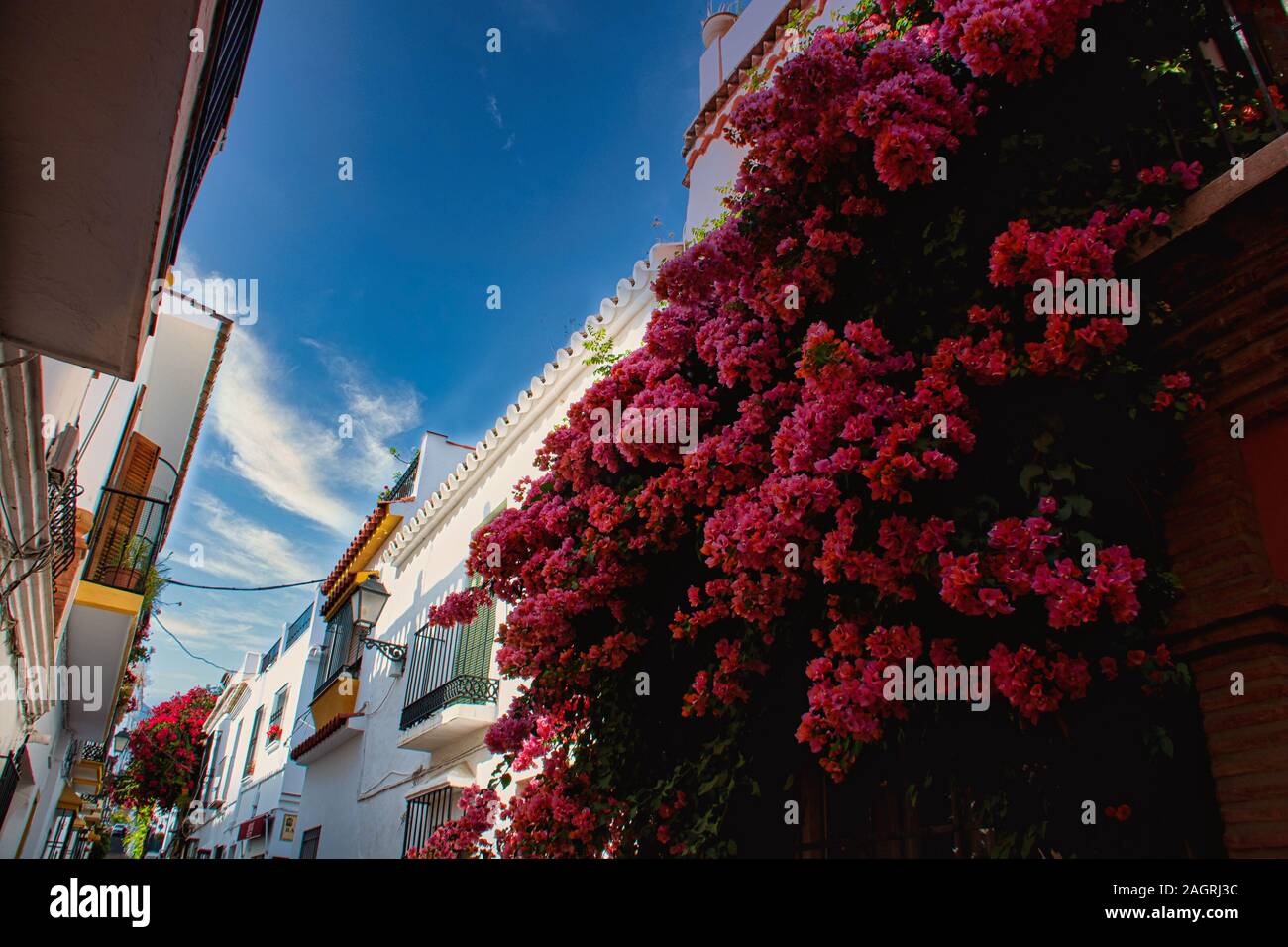 Tarifa's city centre street scene Stockfoto