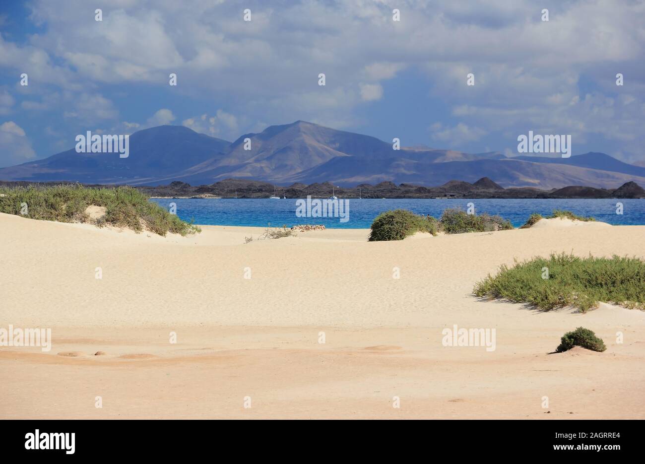 Dünen von Corralejo, Fuerteventura, Kanarische Inseln. Stockfoto