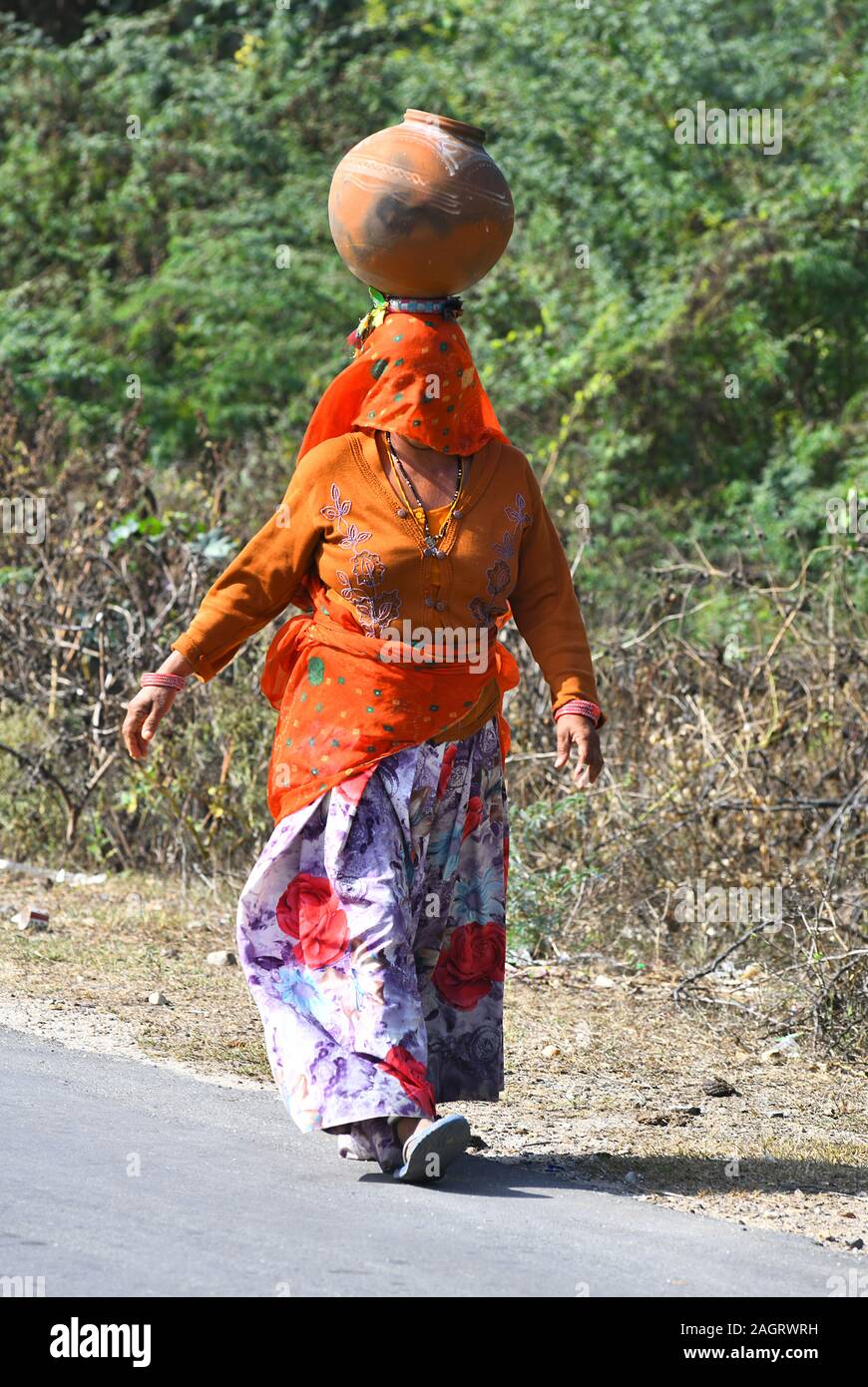 Indische junge Frau mit Kopftuch tragen warmes Tuch und Topf auf dem Kopf tragen Trinkwasser aus einem Dorf in der Nähe von Beawar zu sammeln. Foto/Sumit Saraswat Stockfoto