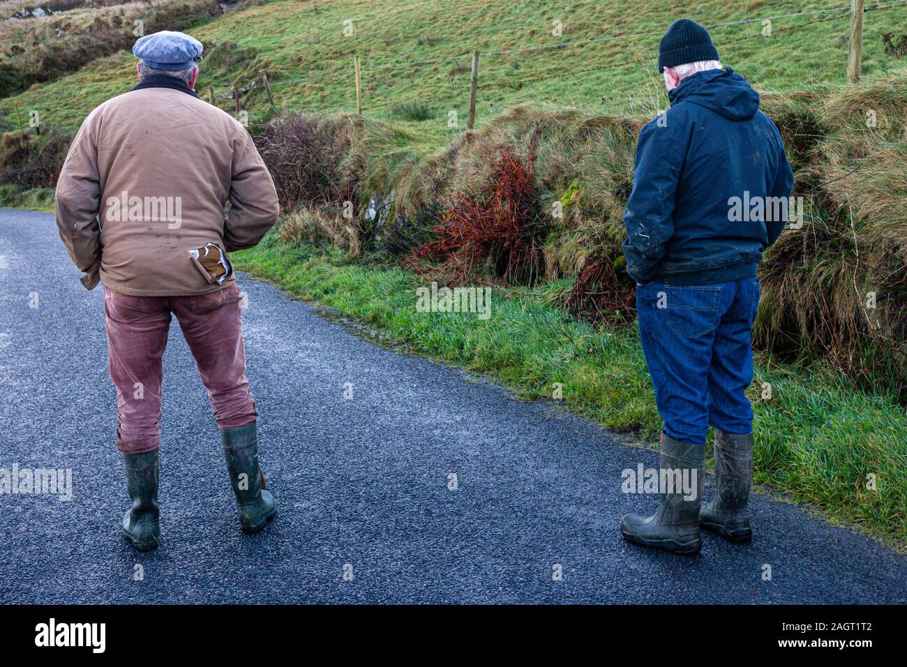 Die irischen Bauern, Valentia Island County Kerry, Irland Stockfoto