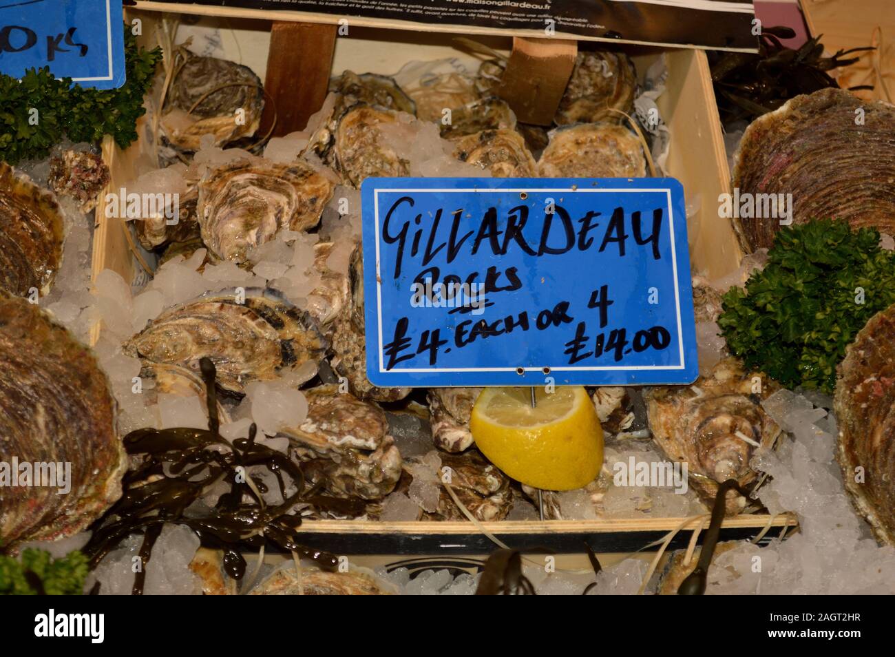 Gillardeau-Oysters auf Eis mit Zitrone, £4 pro Stück oder 4 für £14, bei einem Fischhändler, Borough Market, London, Dezember 2019 Stockfoto