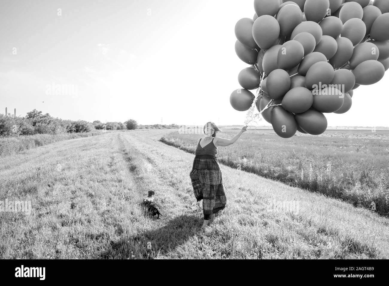 Juni 26, 2019 - Gainsborough, Lincolnshire, Großbritannien. Ein erwachsenes Weibchen stand auf einem Gras riverbank Holding einen großen Haufen grauen Luftballons. Die wea Stockfoto