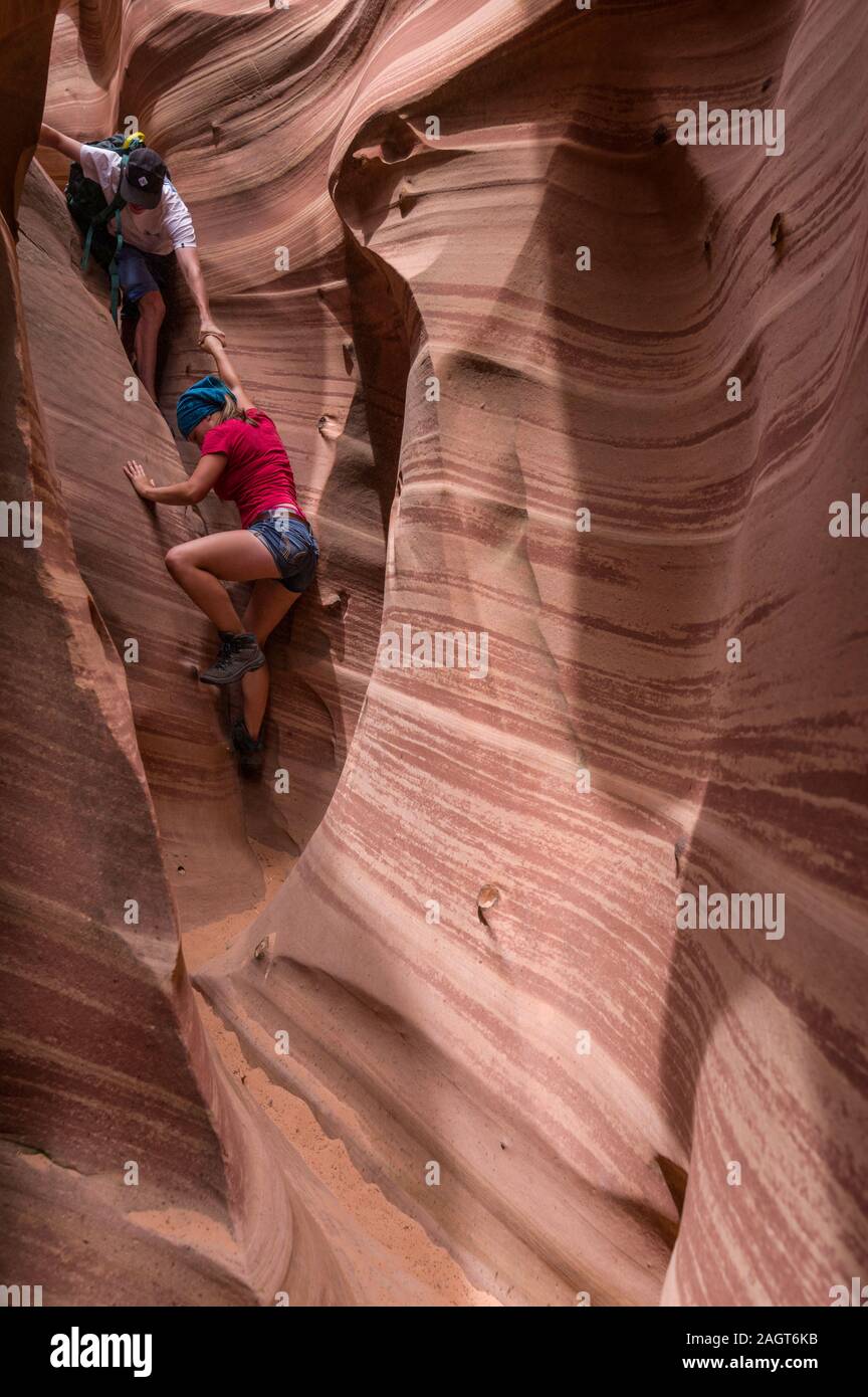 In Zebra Slot Canyon, Harris Wash, Grand Staircase Escalante NM, Utah Stockfoto