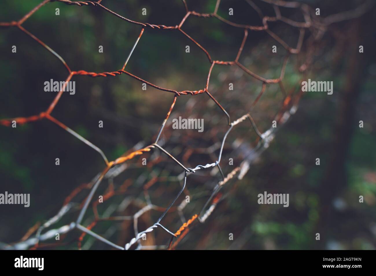 Die Nahaufnahme des braunen Draht Zaun (Barricade), kaum in den unscharfen Hintergrund (Wiese) verrostet. Stockfoto