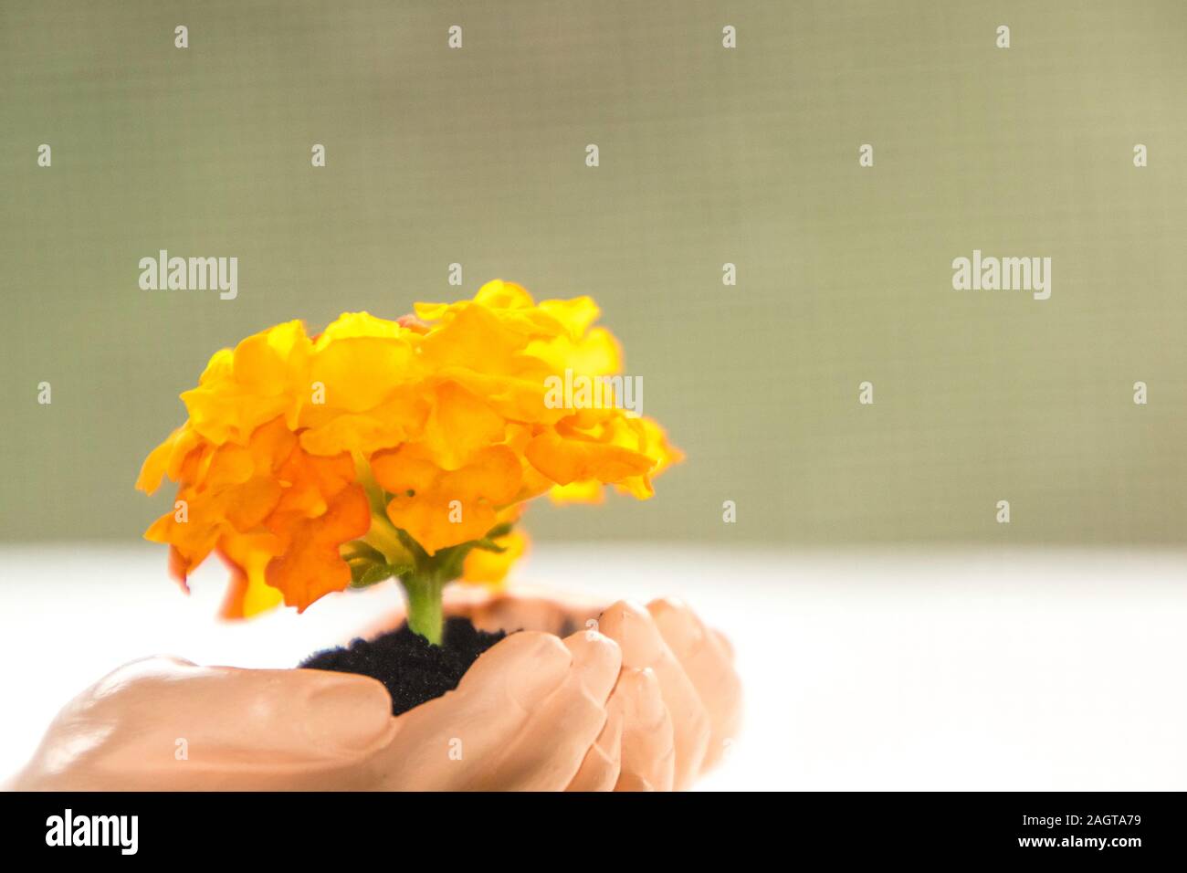 Ein paar hohle Hand halten und Sorge für unseren Planeten. Stockfoto