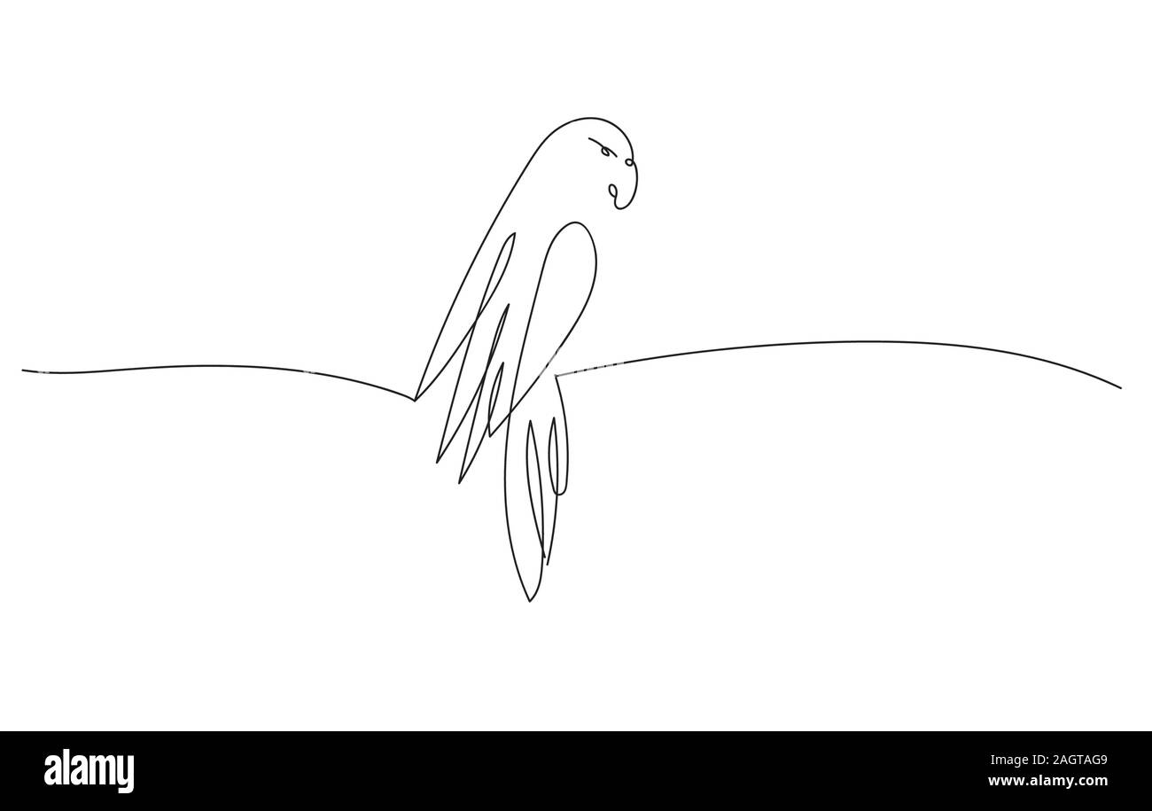 Eine Zeile Design von Parrot. Hand Minimalismus Vector Illustration gezeichnet. Stock Vektor