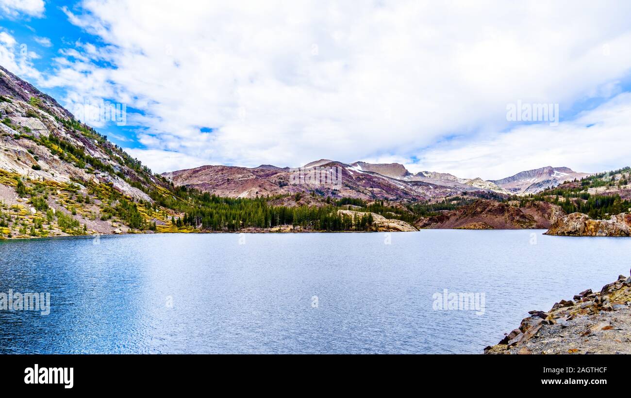 Die klare Gletscherwasser der Tioga See auf einer Höhe von 2938 m auf der Tioga Pass im östlichen Teil des Yosemite National Park, Kalifornien, USA Stockfoto