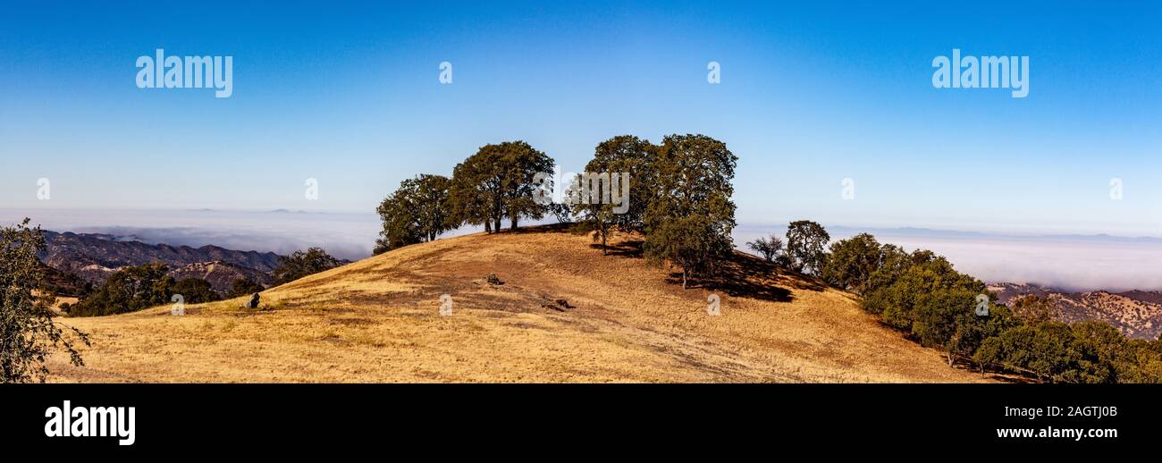 Blick nach Westen von der California State Route 198 nach unten in den Salinas Valley, wo Nebel vom Pazifischen Ozean decken das Tal in den frühen Morgenstunden Stockfoto