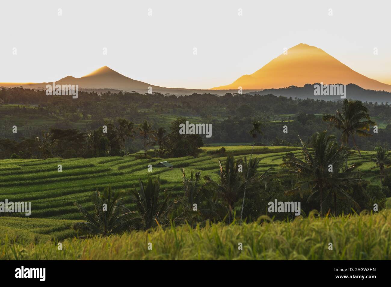 Erstaunlich warmen Orange Sonnenaufgang über berühmte Jatiluwih Reis Terrassen und Mount Agung Vulkan. Beliebte touristische Sehenswürdigkeiten auf Bali. Zu Bali Travel Concept herzlich Willkommen. Stockfoto